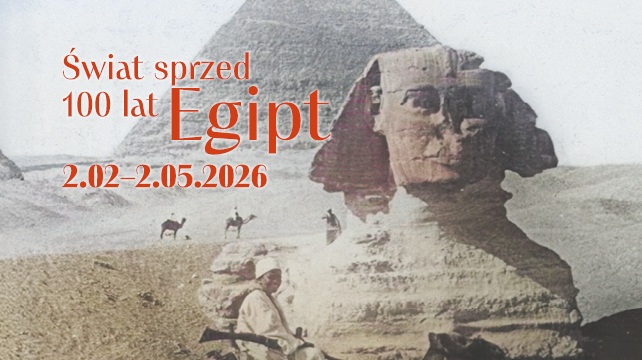 pictures - Organizator