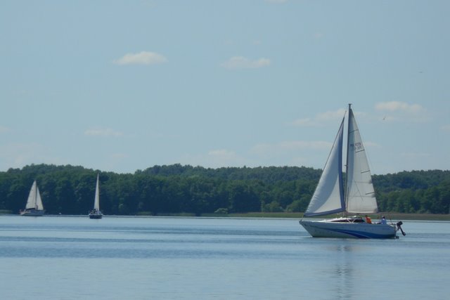 Żaglówki na jeziorze - Adam Sołtysiak