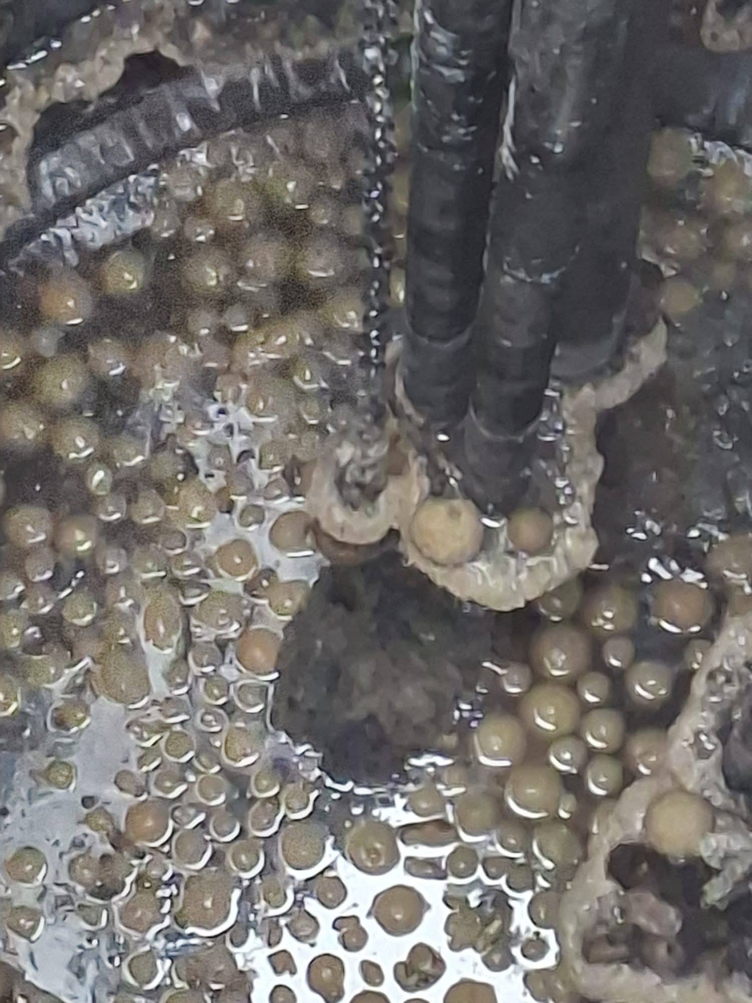 Wodociągi Kępińskie