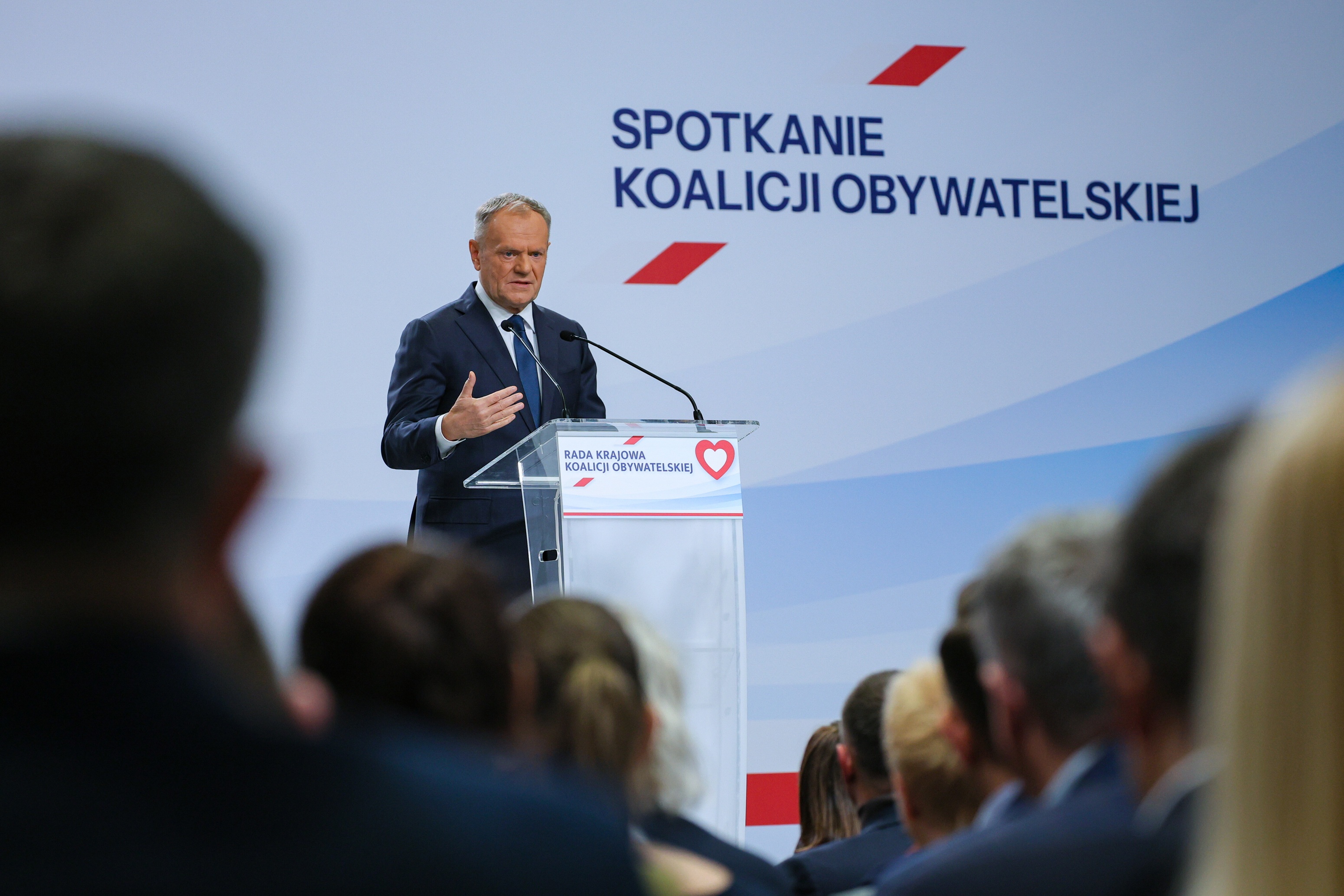 ko - Paweł Supernak - PAP