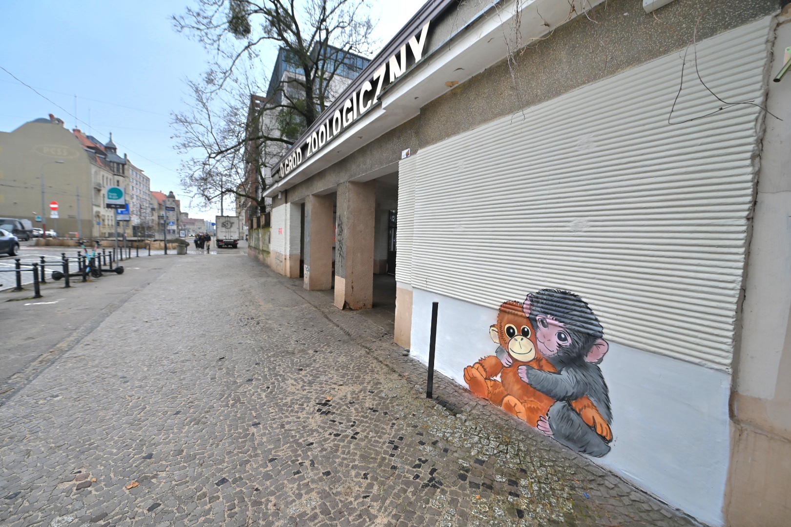 Kawu makak zoo - Wojtek Wardejn - Radio Poznań