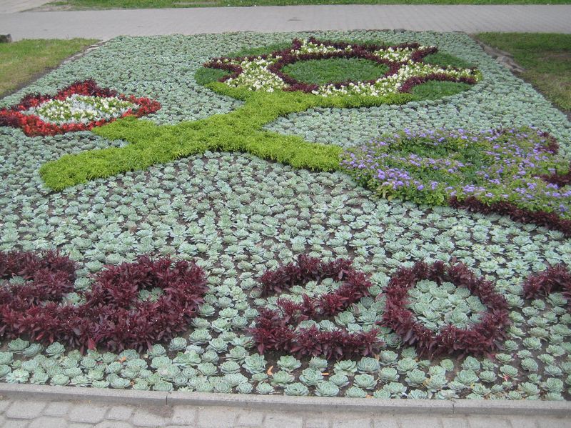 Logo Euro - Leszno - Jacek Marciniak