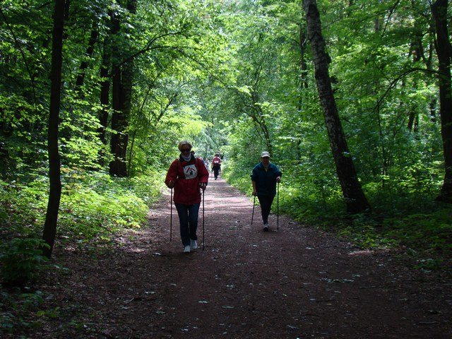 Kijomarsz trzeci - Piotr Niewiarowski, Piotr Niewiarowski jr.