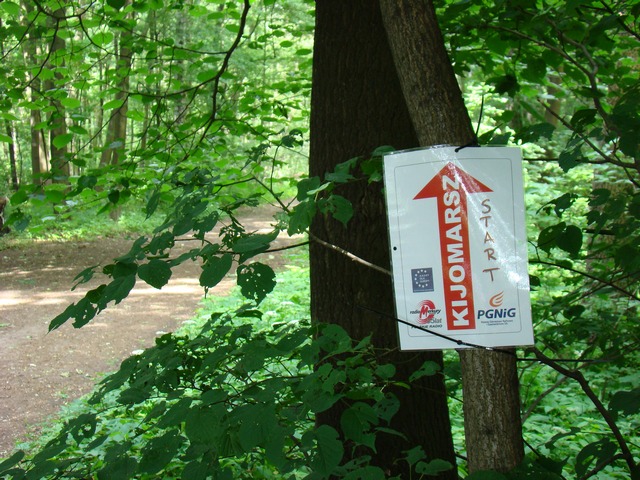 Piotr Niewiarowski, Piotr Niewiarowski jr.