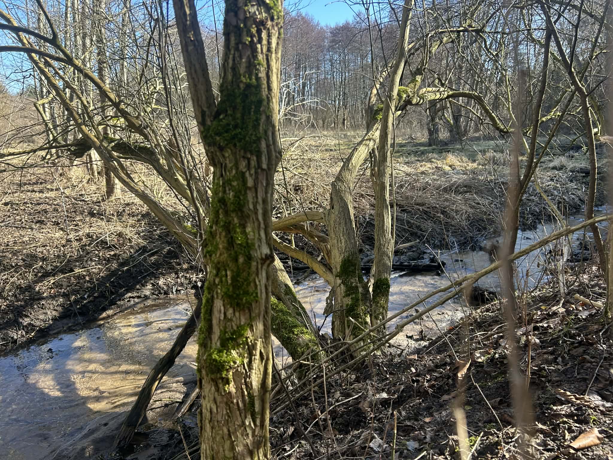 czerwonak zbiornik - Szymon Majchrzak - Radio Poznań