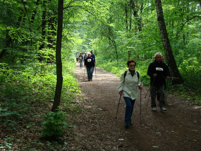 Piotr Niewiarowski, Piotr Niewiarowski jr.
