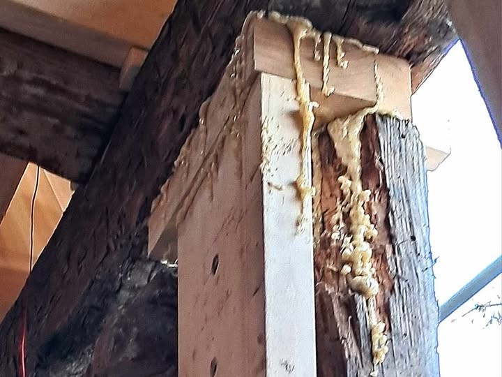 Konserwator Zabytków/facebook