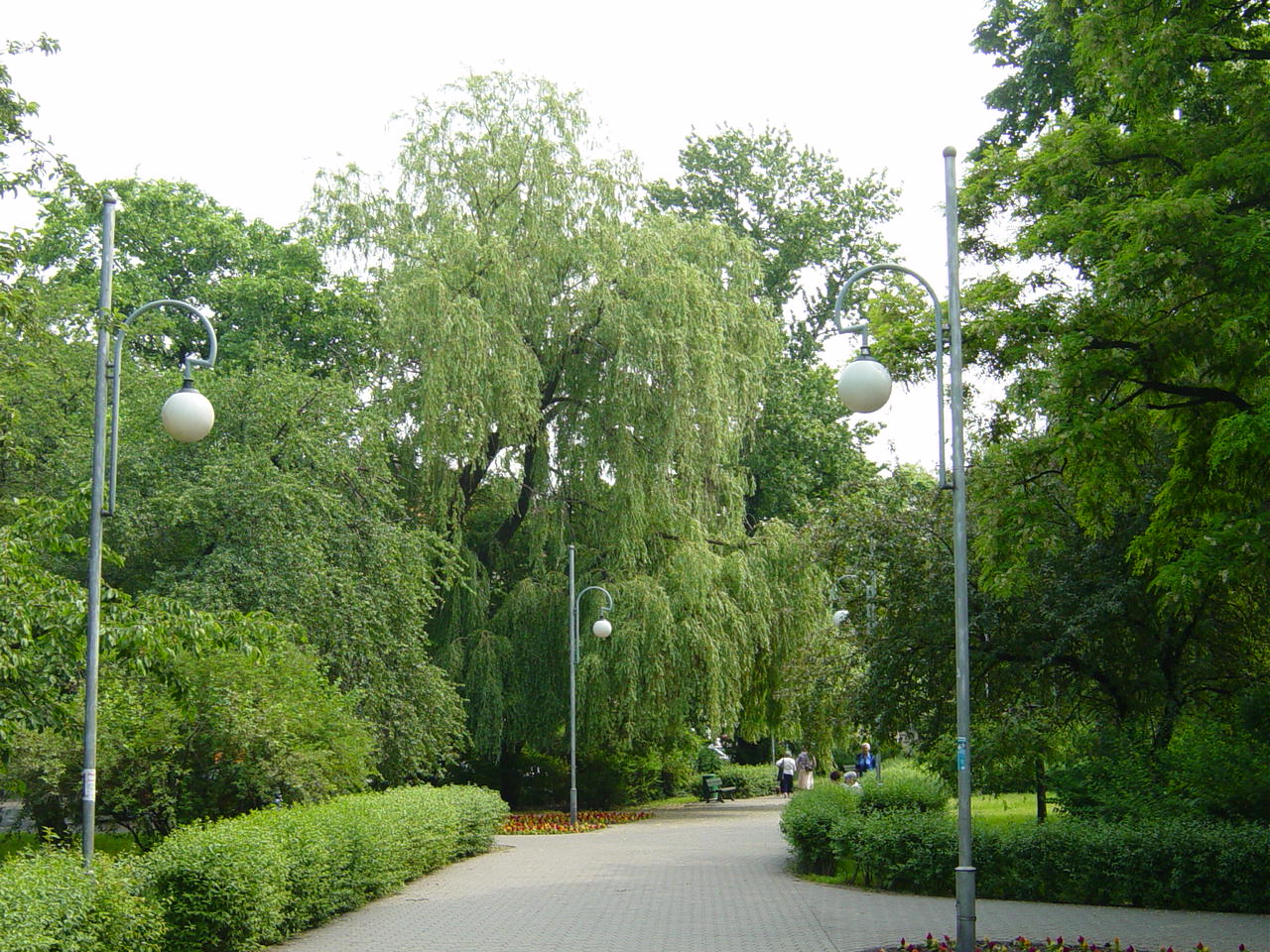 kalisz planty - Piotr Zdrowicki (CCA 3.0)