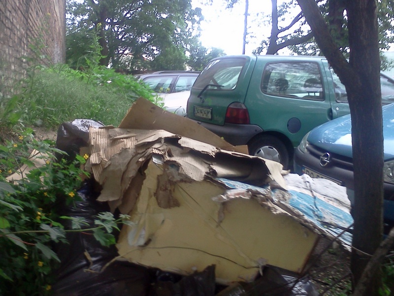 zielony_teren_zasmieciony