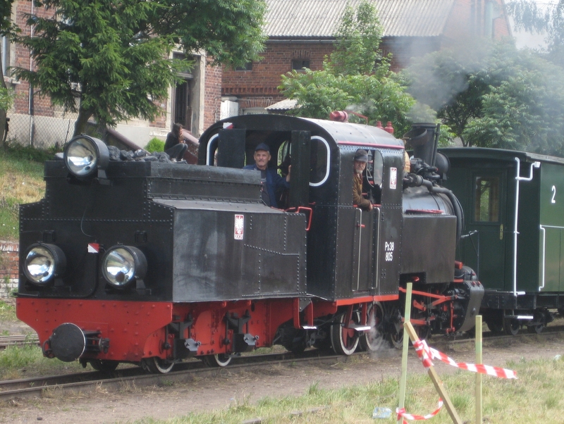 Kolejka Białośliwska - Wiesława Pinkowska