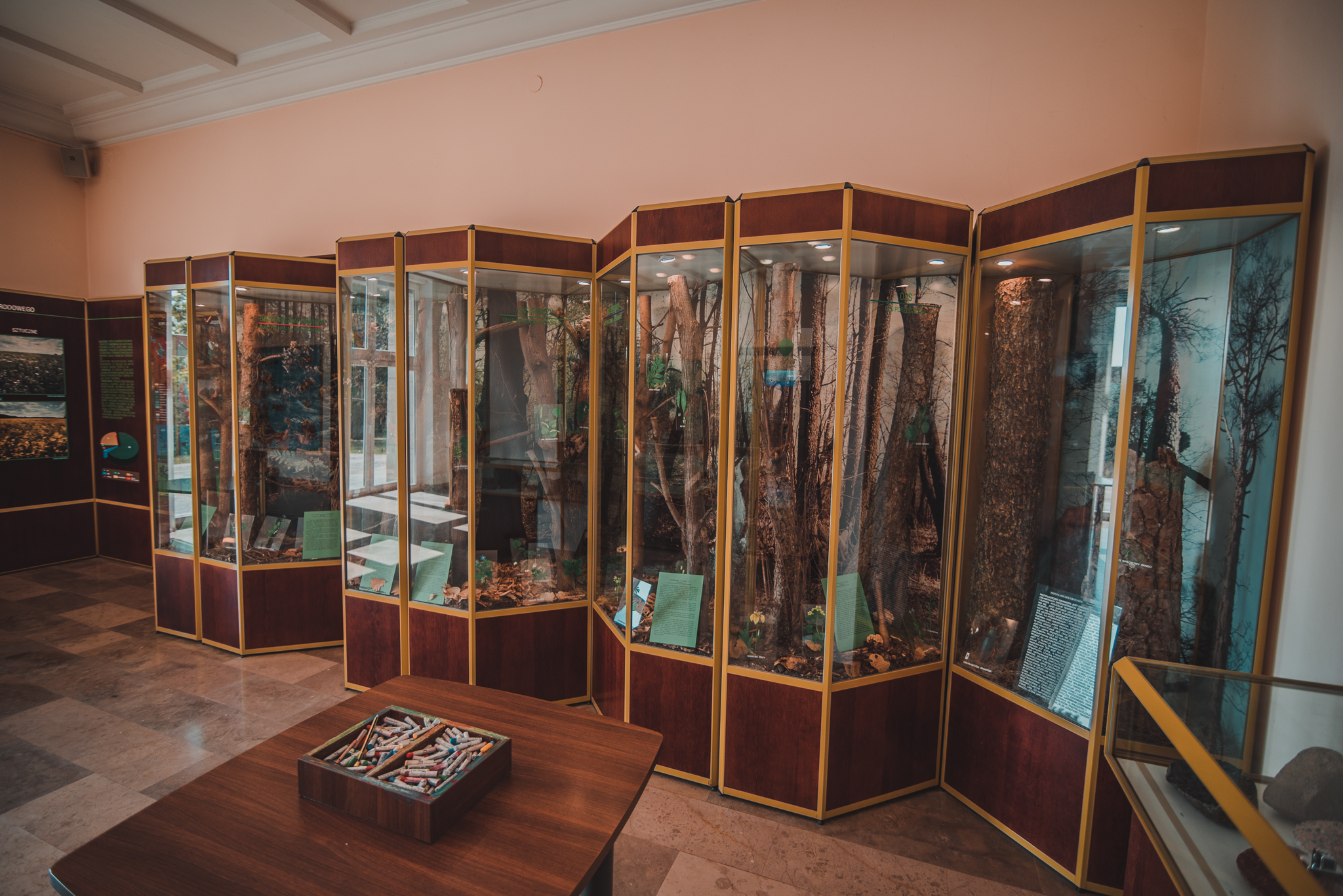 Fabian Mielczarek-Henglewski