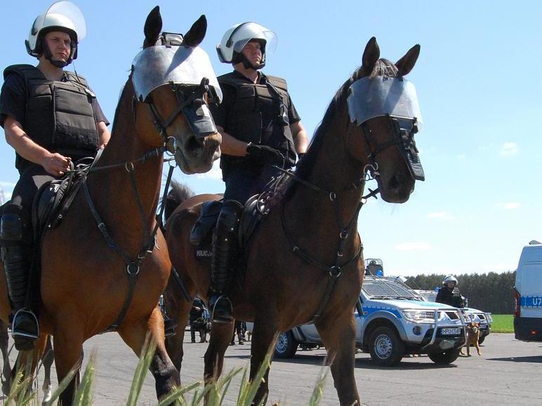 Policja na koniach - Policja/Poznań