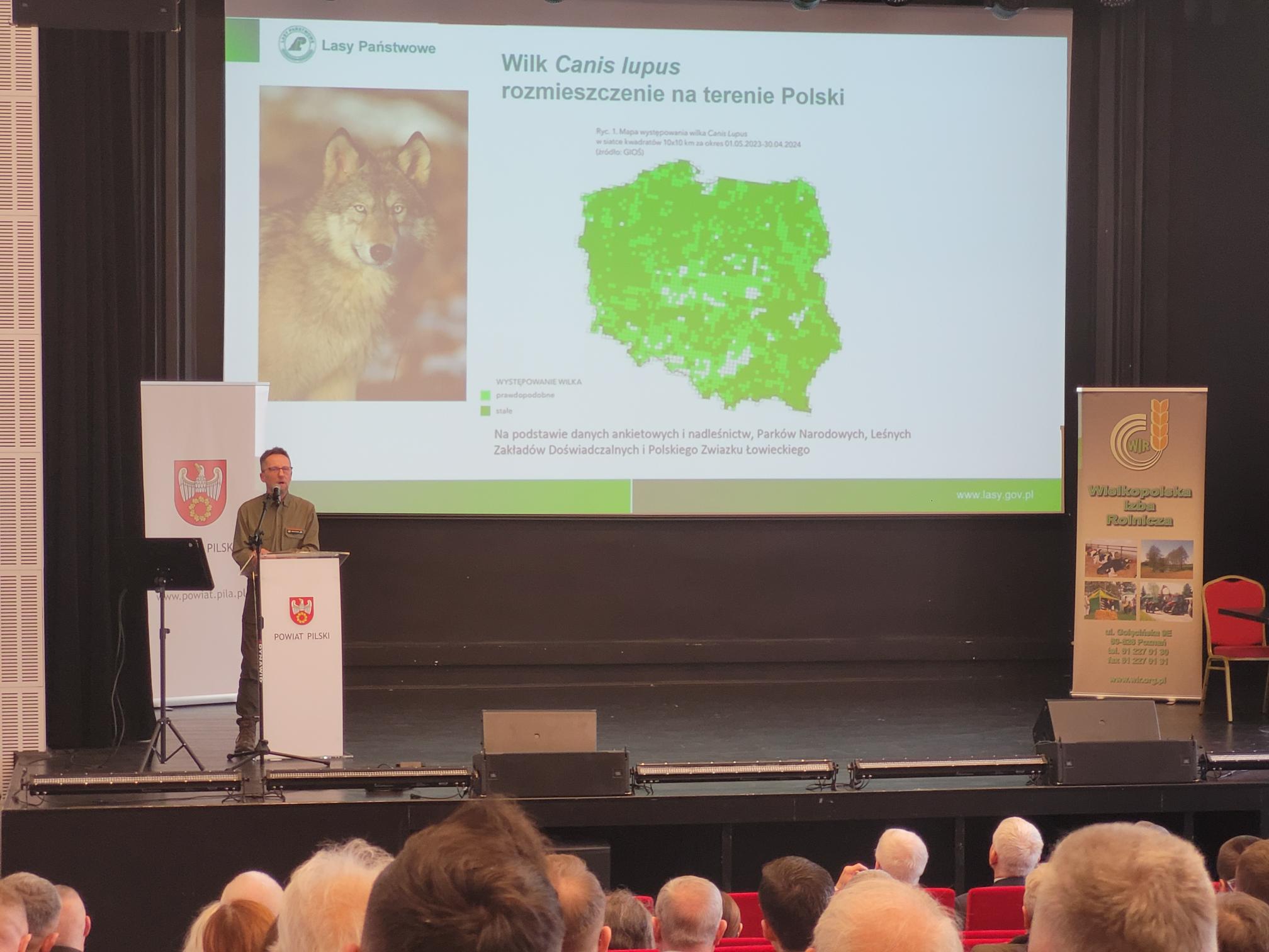 konferencja wilki piła - Marek Wolski
