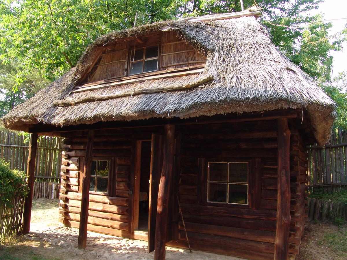 skansen mrówki wilczyn - Muzeum Okręgowe w Koninie