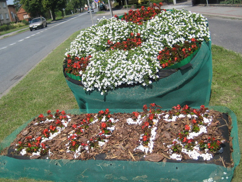 Skalmierzyce Euro - Danuta Synkiewicz