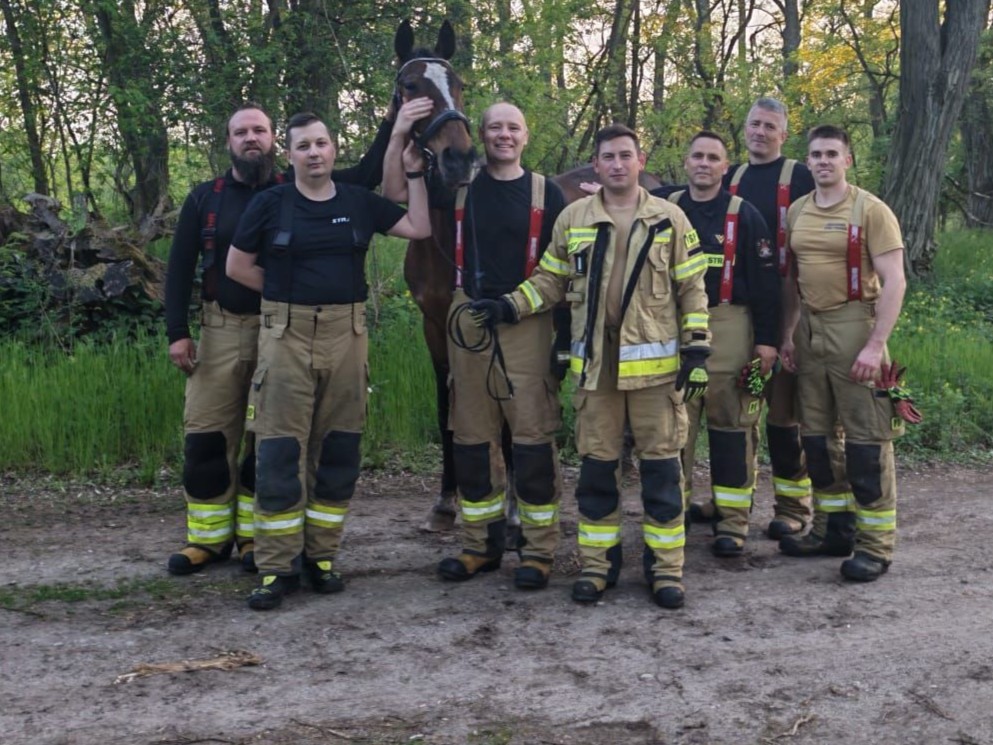 koń bagno strażacy - OSP KSRG Kazimierz Biskupi/Facebook