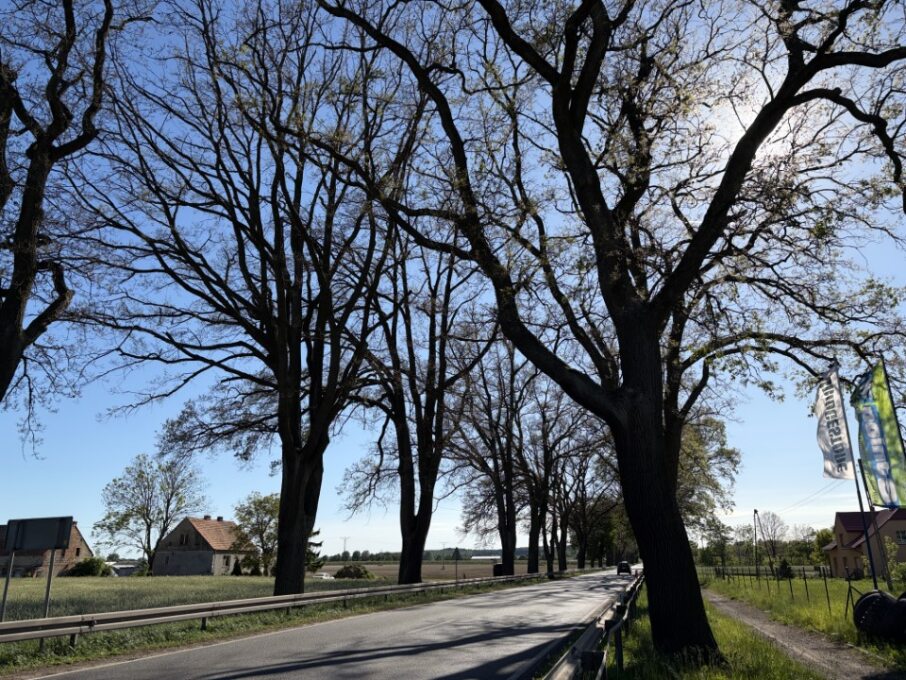 białośliwie - Marek Wolski - Radio Poznań