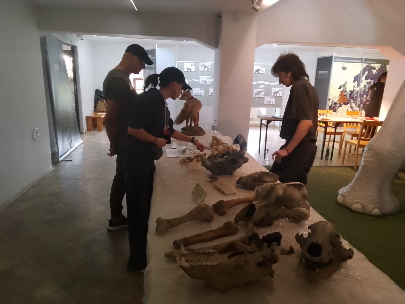 paleontologia Konin - Michalina Maciaszek - Radio Poznań