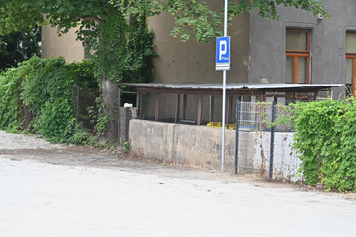 Wojtek Wardejn