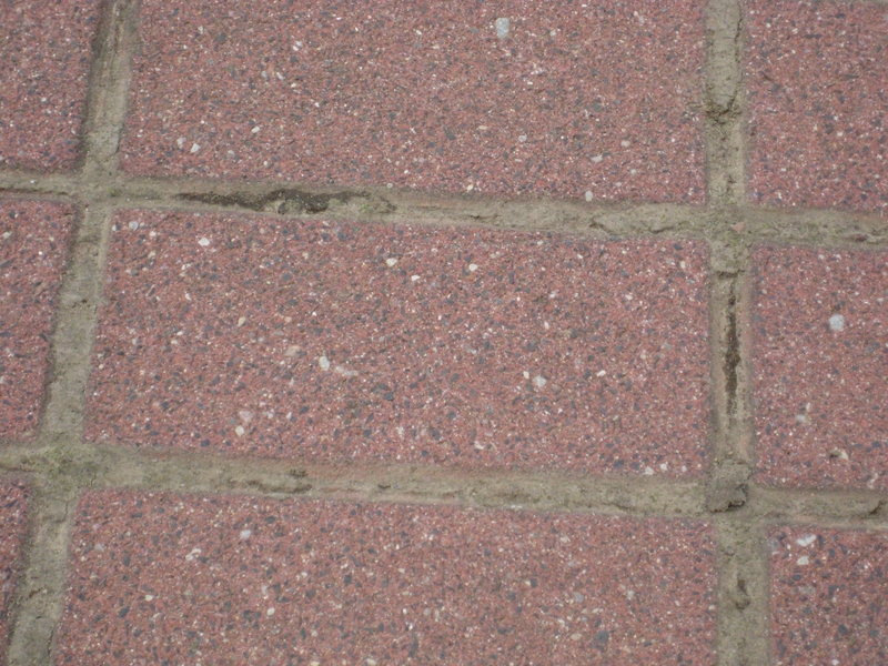 chodnik, kostka brukowa - Jacek Butlewski