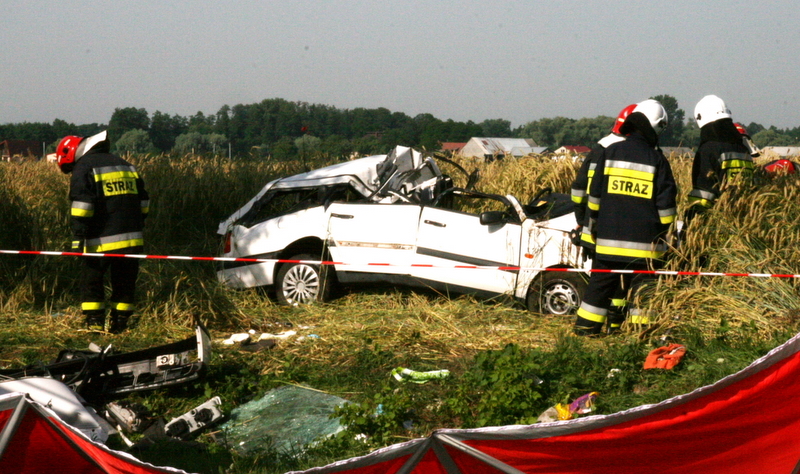 Wypadek w Kowalach - Iwona Krzyżak