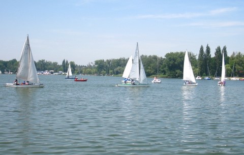 Radcy żeglują (1) - Agnieszka Maciejewska