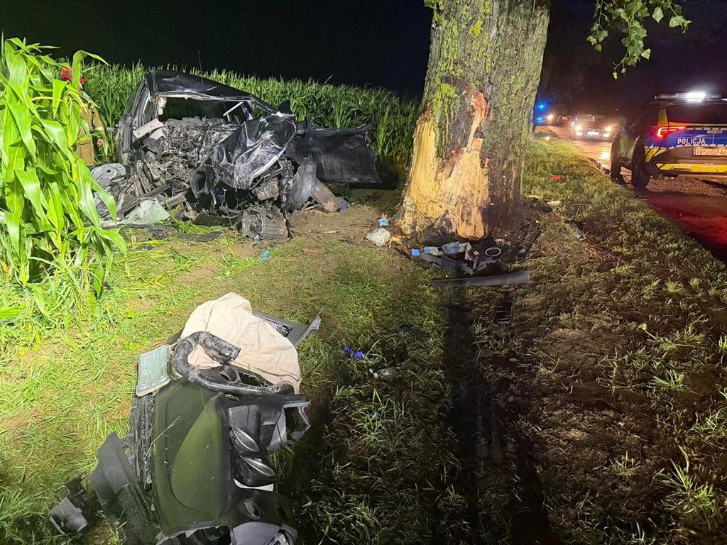 Wypadek drzewo - Komenda Powiatowa Państwowej Straży Pożarnej w Pile