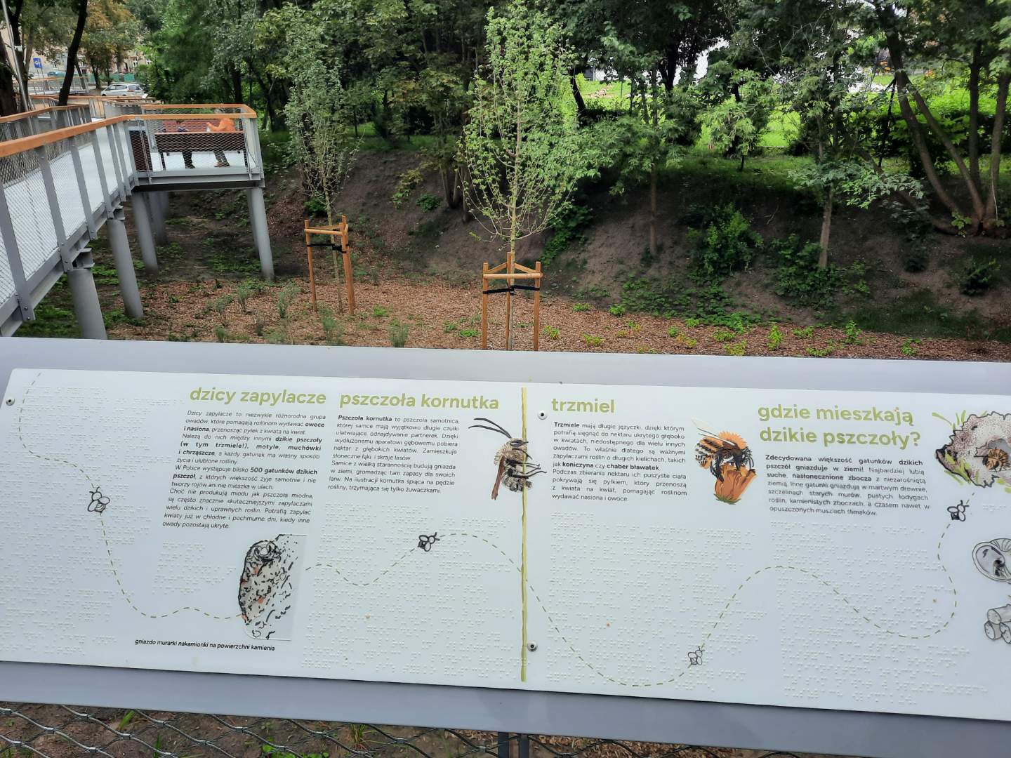 Rafał Muniak