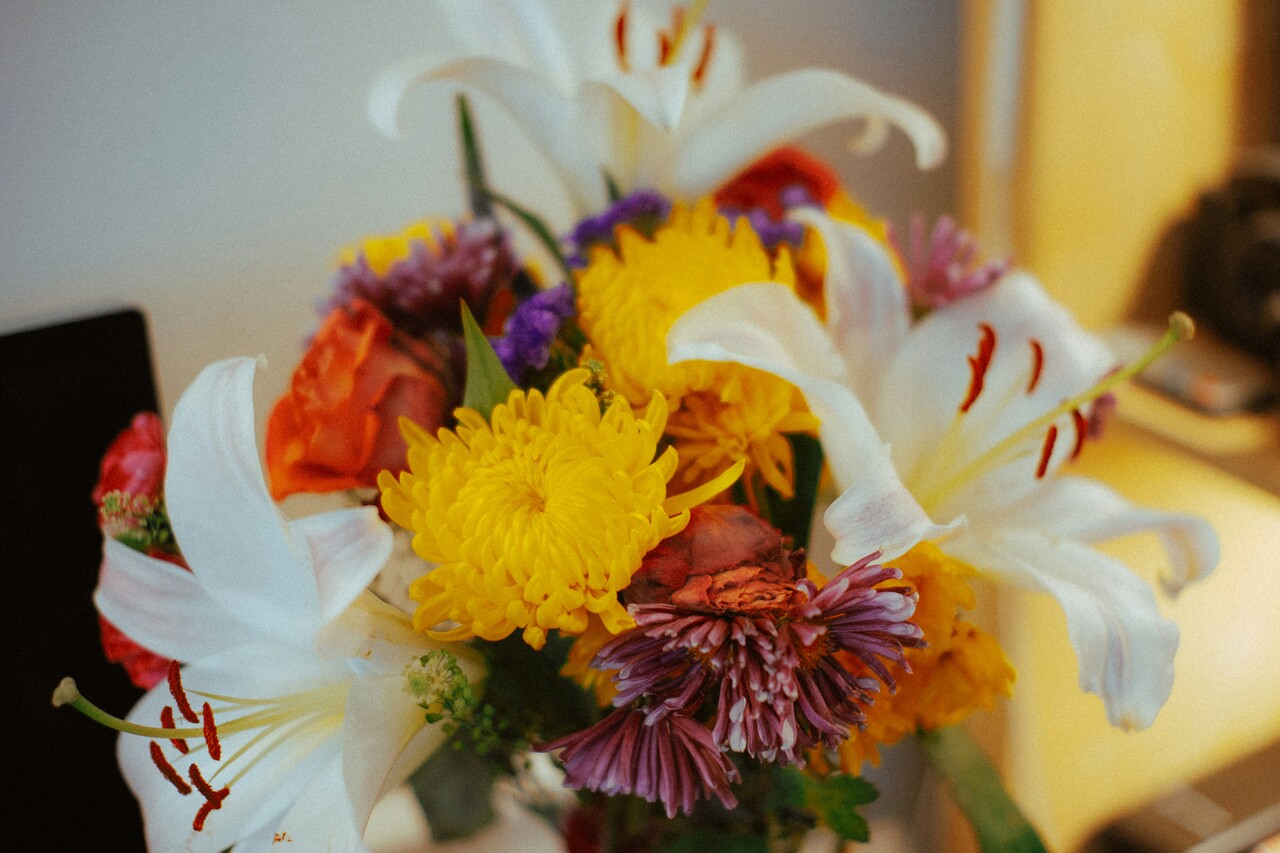 stephen-han_8hvidqfxcw-unsplash_Easy-Resize.com - Materiał sponsorowany