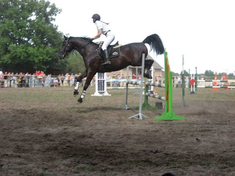 Konie - skoki - powiat ostrzeszowski