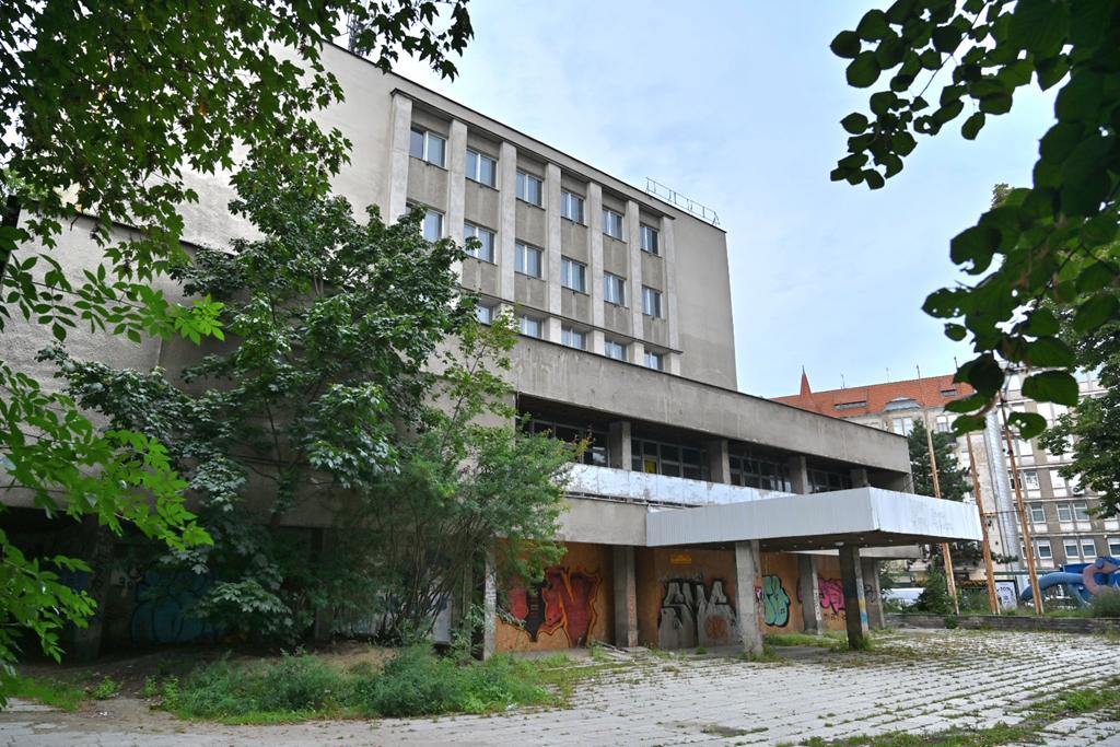 Wojtek Wardejn