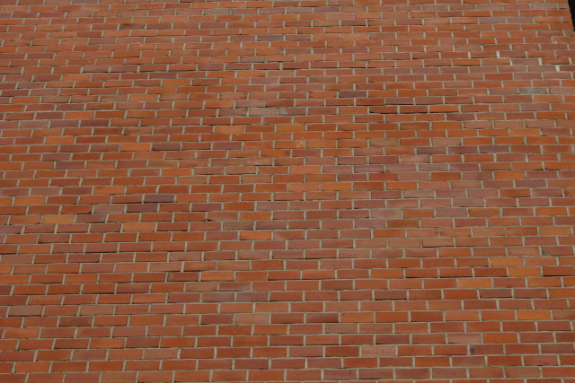 ściana mur z cegły - TomFoto