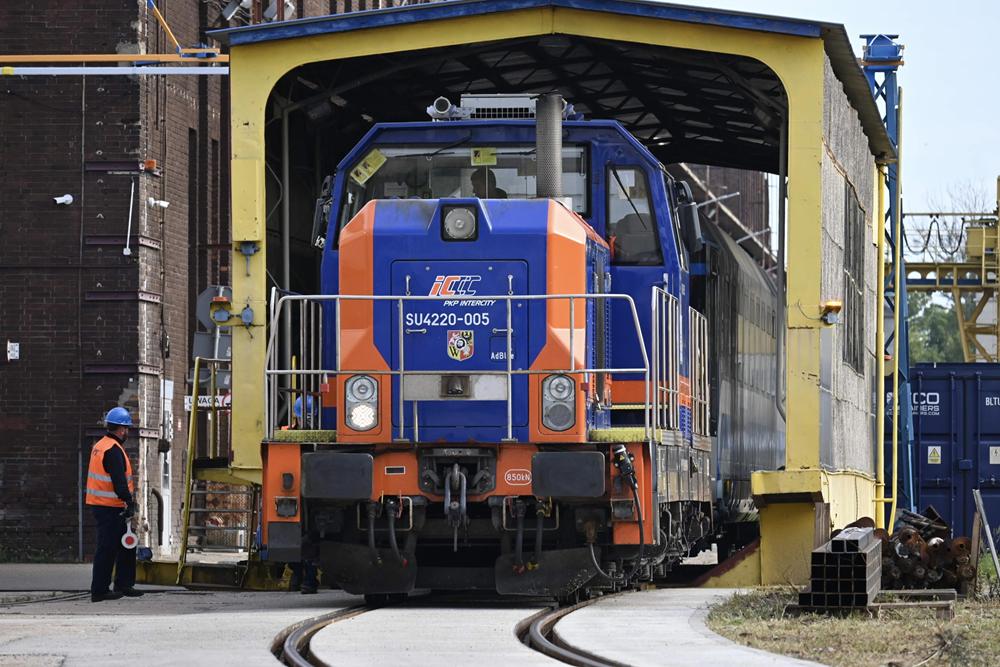 Eliza Hajdenrajch