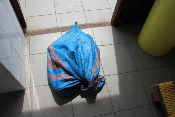 Utopiony pies - Fundacja Głosem Zwierząt