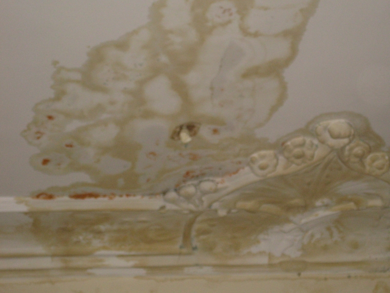 Kamienica, ul. Stolarska - spór - Wojciech Chmielewski