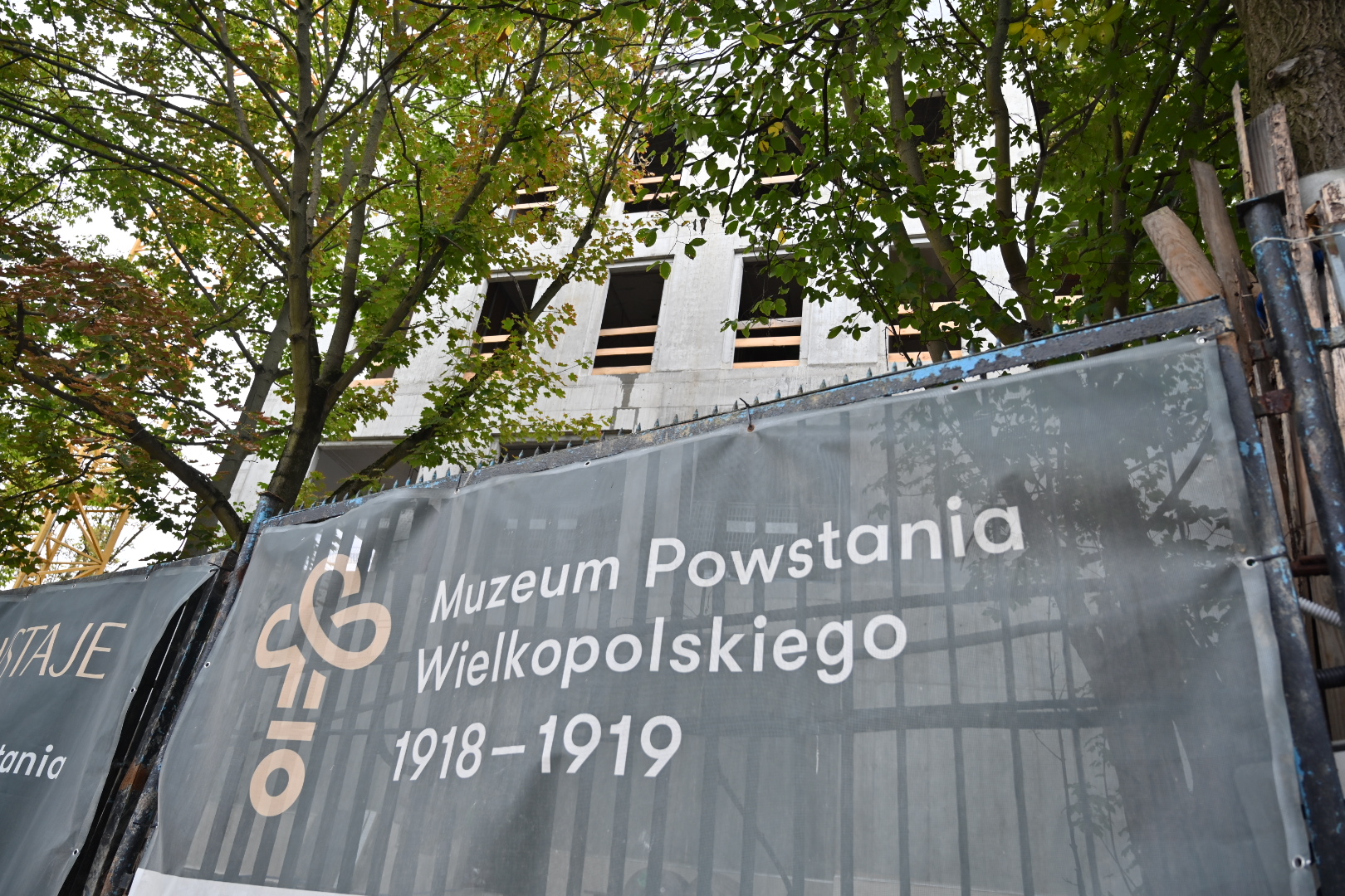 Wojtek Wardejn