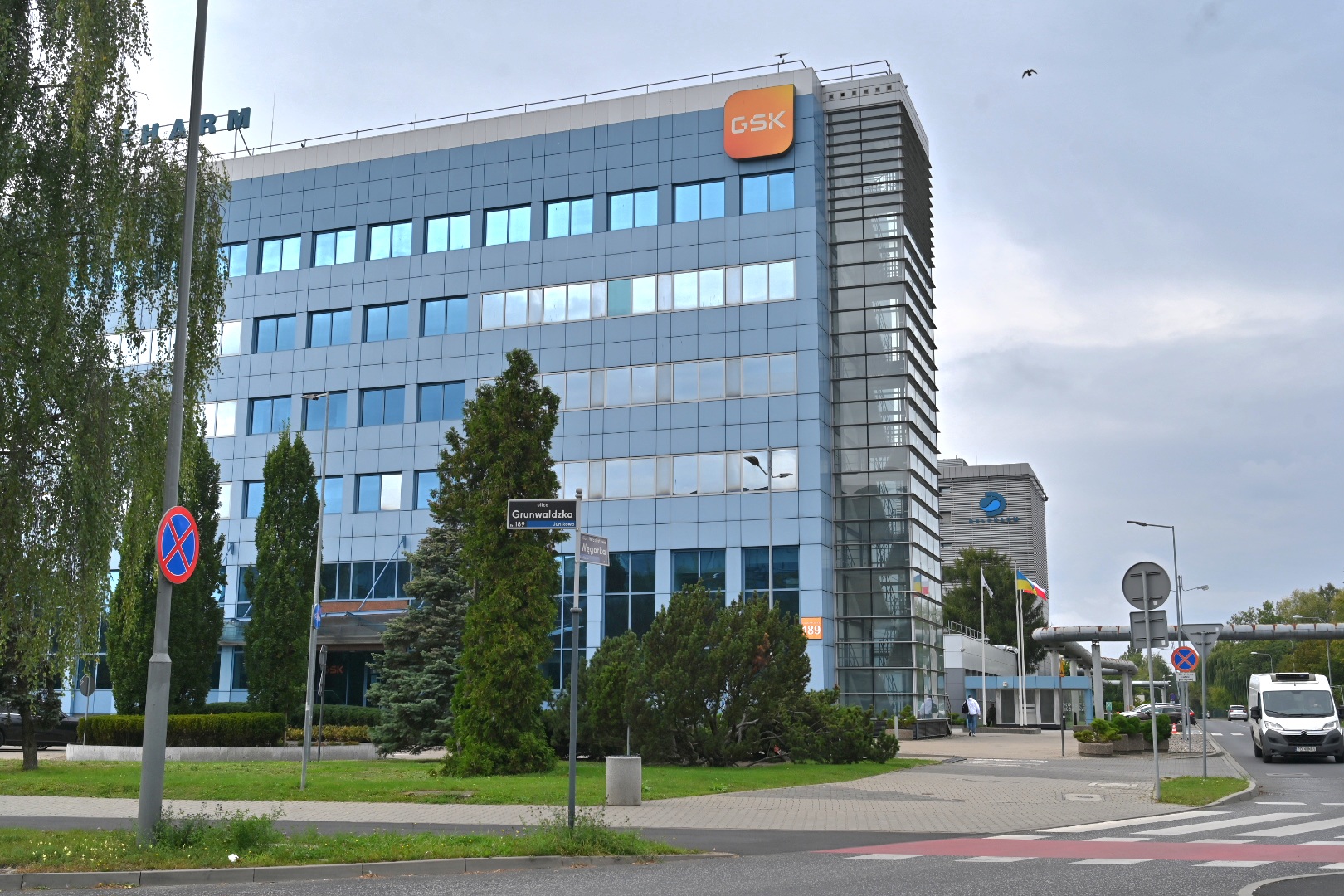 gsk poznań - Wojtek Wardejn