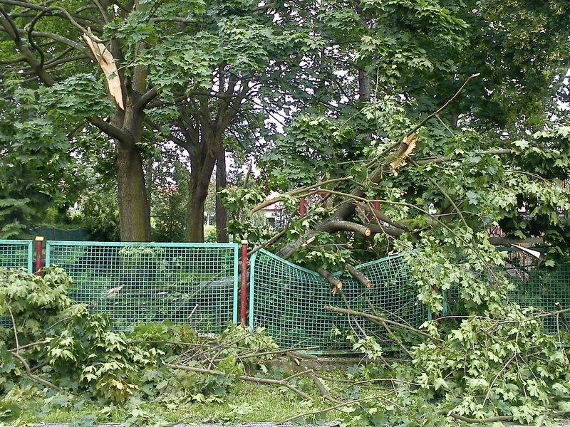 Skutki nawałnicy w Trzciance - Marcin Bogucki