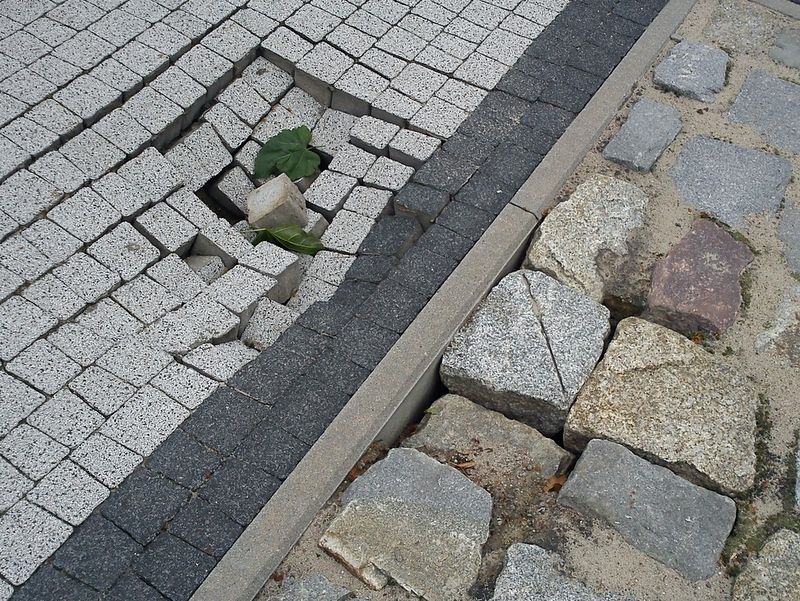 Skutki nawałnicy w Trzciance - Marcin Bogucki