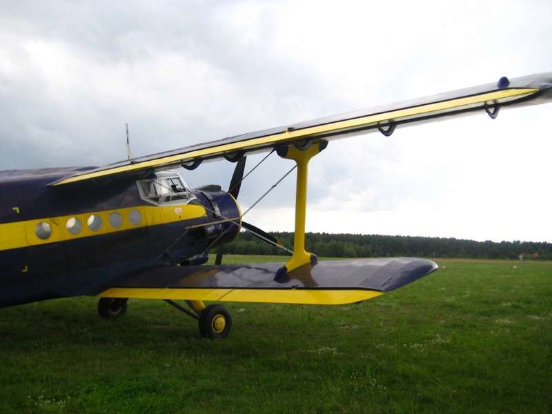 Miasto z lotu Antka - Jacek Butlewski