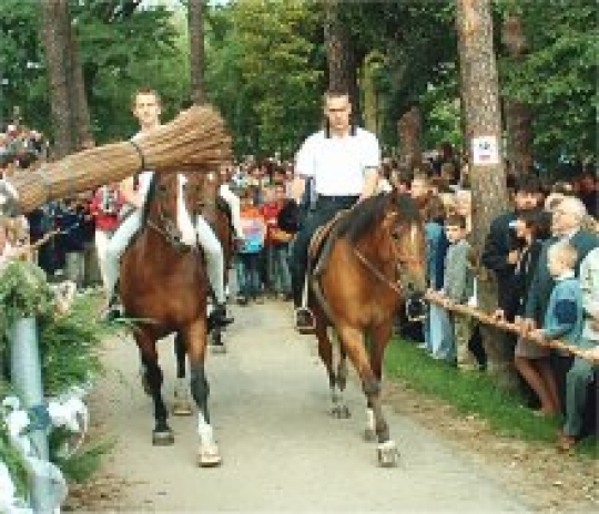 Mikstat - święcenie zwierząt - Radio Merkury