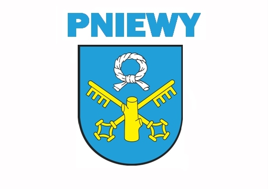 Flaga Pniew - Pniewy
