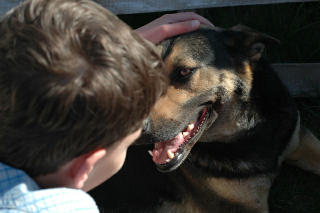 dziecko_pies - TomFoto