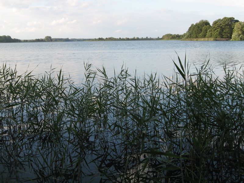 Wyspa Ledniczka - Szymon Mazur