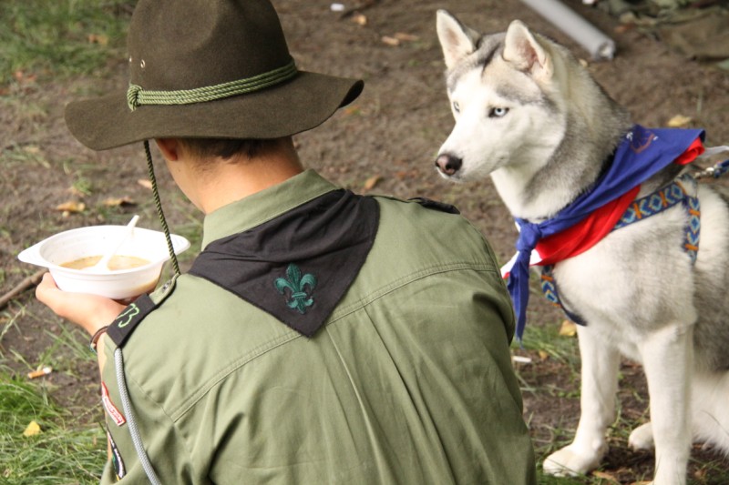 Zlot harcerzy -Michałków - Grzegorz Maciejewski