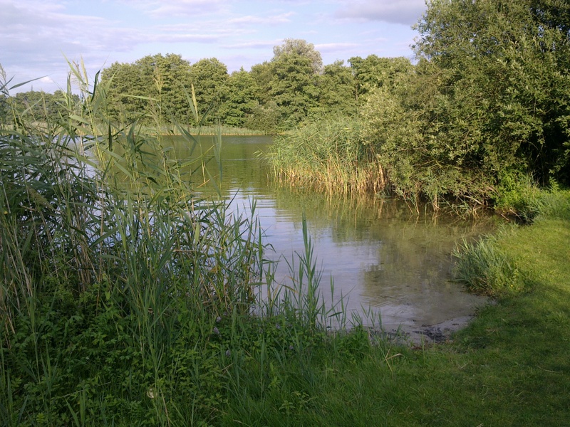 Wyspa Ledniczka - z brzegu - Mateusz Owsianny