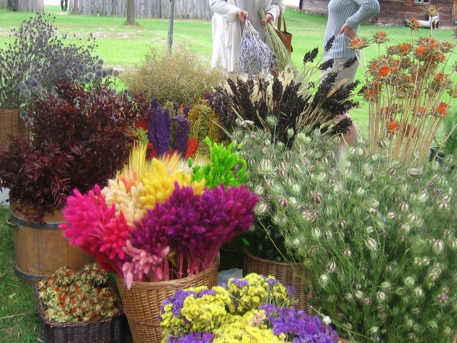 Skansen Dziekanowice - zioła - Rafał Muniak