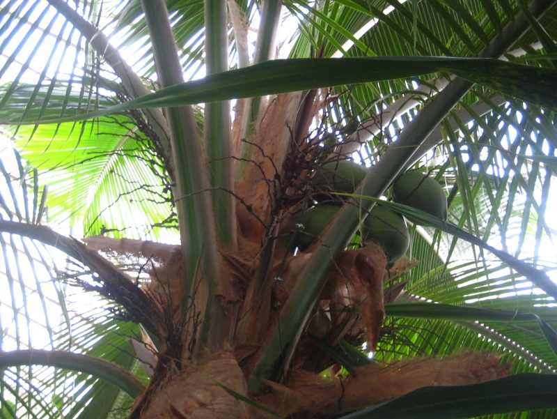 Małgorzata Piechota