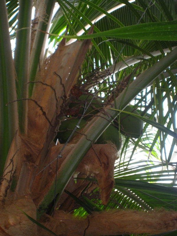 Małgorzata Piechota