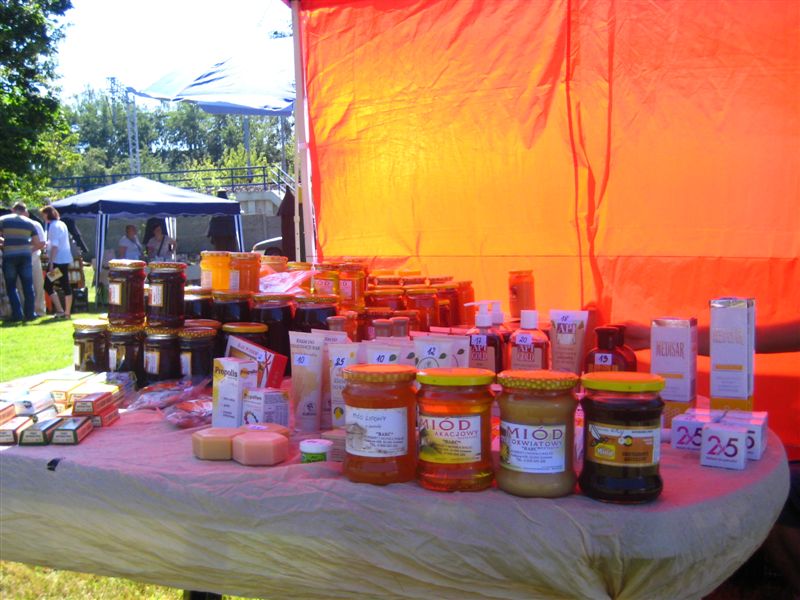 Miodowy festyn Swarzędz - Adam Michalkiewicz